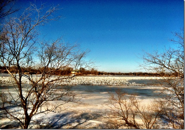 photo of geese on Lake Mitchell South Dakota