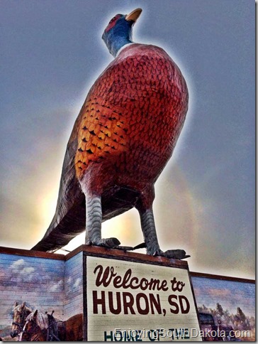 world's largest pheasant in huron south dakota